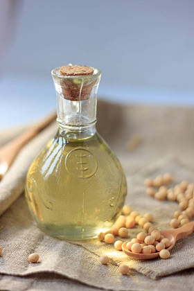 天然和有机大豆油与它周围的大豆豆