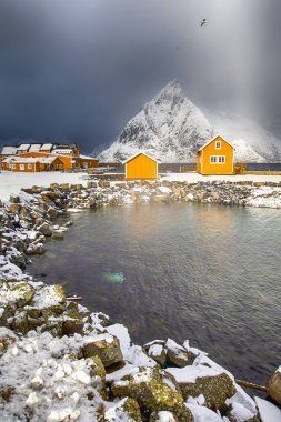 兩個(gè)傳統(tǒng)生動(dòng)的黃色挪威獨(dú)立的房子位于挪威的瑞尼村灣。垂直圖像組合