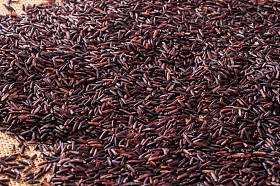 未煮熟的黑米为背景图片