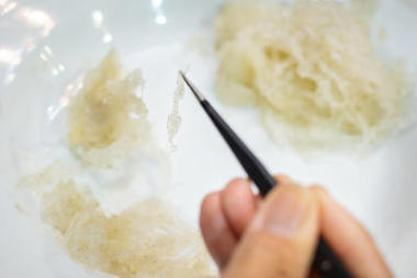 原金丝燕燕窝清洗, 中国传统美味佳肴