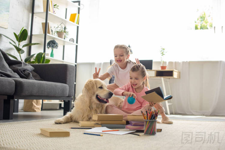 小姐妹與書和金黃獵犬狗附近一起玩在家