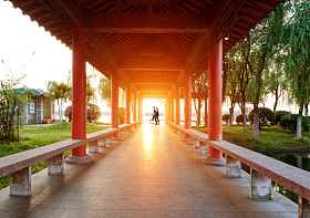 苏州 庭院