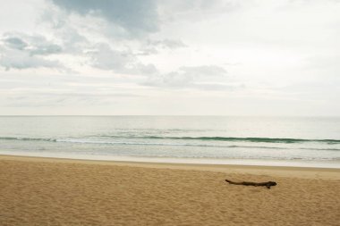 泰國安達曼海旁的美麗海灘圖片