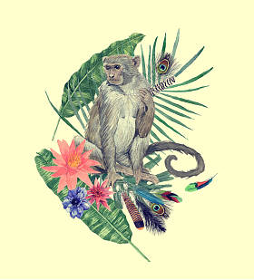 水彩手画插图与猴子, 叶子, 花, 羽毛