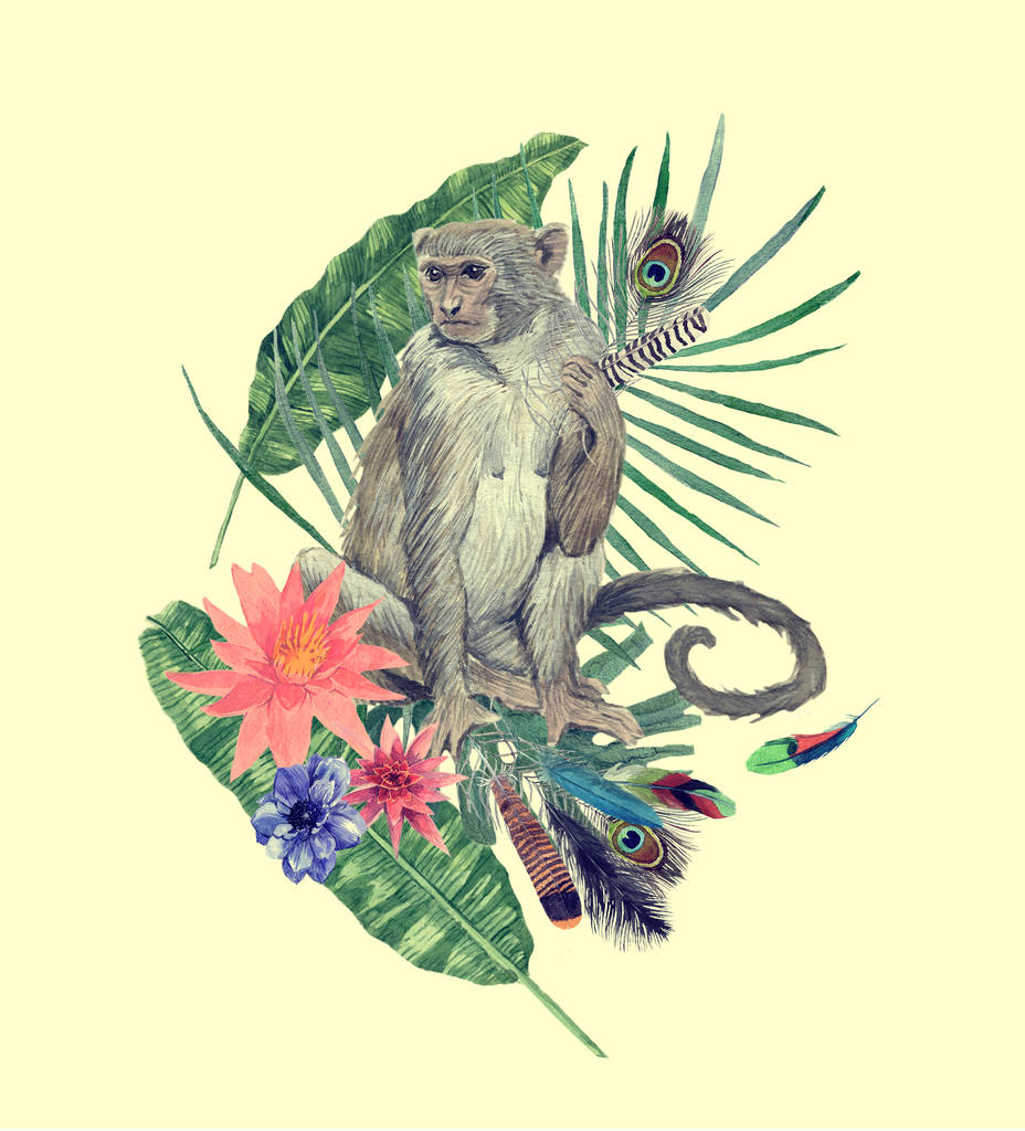水彩手画插图与猴子, 叶子, 花, 羽毛