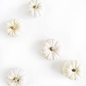 白色南瓜。秋季最低概念。平躺, 顶部视图