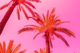 橙色的棕榈树映衬着粉红色的天空明亮的霓虹灯的颜色最小的和超现实的暑假