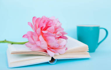 藍(lán)色背景牡丹花與淺藍(lán)色書(shū)照片