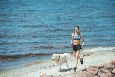 亞洲運動員與海上金獵犬賽跑的遙遠視野 
