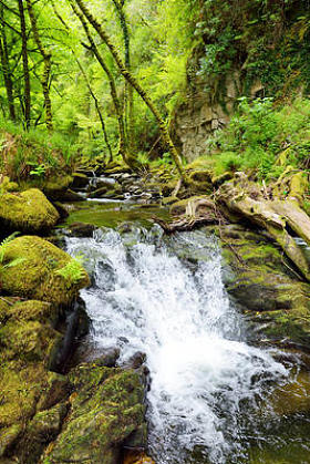 爱尔兰国家公园项圈瀑布附近的暴风雨小瀑布