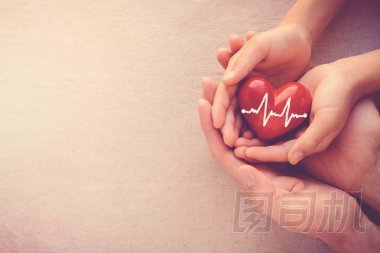 成人和兒童手抱著紅色心臟與心電圖, 健康關心愛和家庭概念