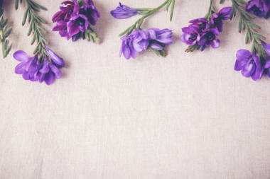 紫蓝色花在亚麻色调复制空间背景