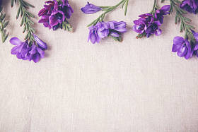 紫蓝色花在亚麻色调复制空间背景