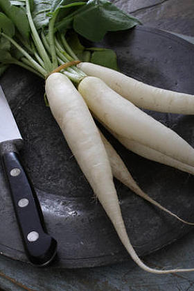 新鲜白萝卜在船上图片