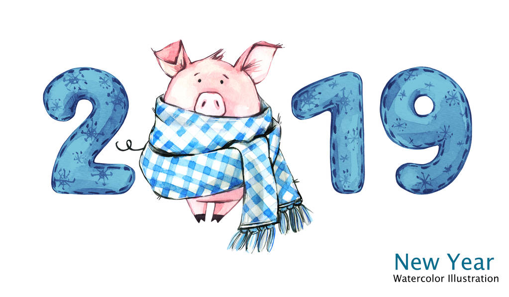 2019新年快乐横幅。可爱的猪在冬天围巾与数字。水彩插图。冬季假期的象征。星座。完美的日历和庆典卡