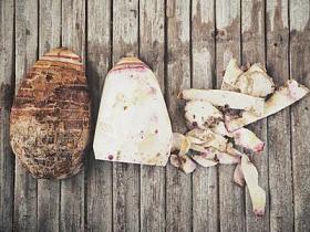 芋头棕木背景图片