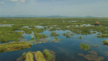 展館在山姆 Roi 峰, 泰國