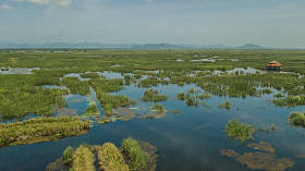 展馆在山姆 Roi 峰, 泰国