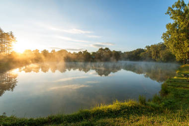 晨霧在森林湖, 日出射擊.圖片
