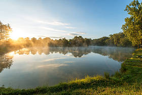晨雾在森林湖, 日出射击.图片