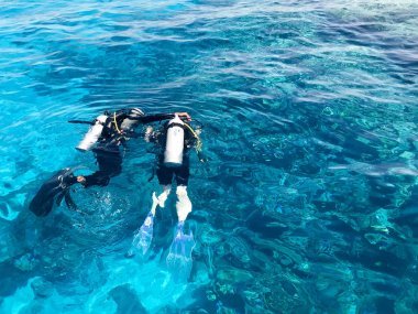 兩名潛水員在黑色潛水衣, 一個男人和一個女人與氧氣瓶下沉在透明的藍(lán)色水的海洋, 海洋在一個熱帶天堂溫暖的度假勝地