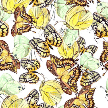 与美丽的蝴蝶的水彩图案。插图