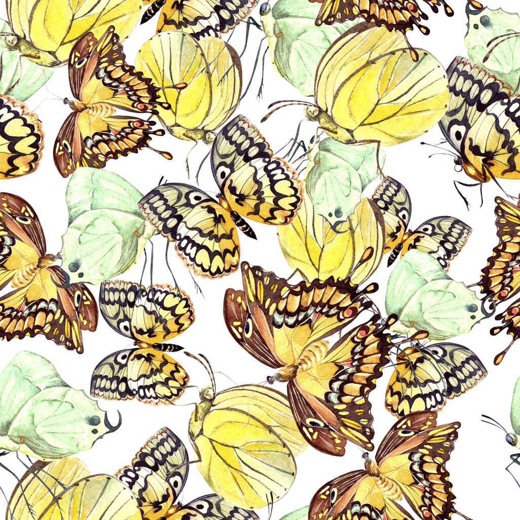 与美丽的蝴蝶的水彩图案。插图