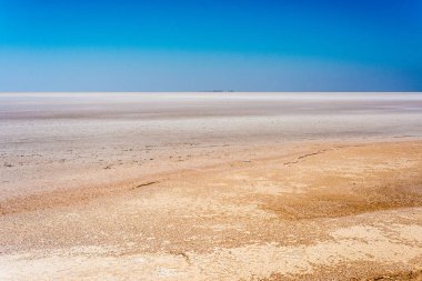 Chott el Djerid, 也拼寫 Sciott Gerid 和肖特 el 中尉, 是一個大內陸鹽湖在突尼斯南部