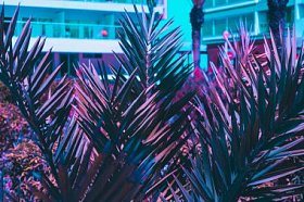 棕榈叶和酒店在粉红色与蓝绿色的天空。极小和超现实。暑假。城市风