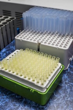 聚合酶取样 Dna 测试管阵列 Pcr 容器热板