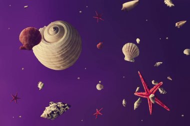在紫色背景下, 用貝殼和海洋生活的行星創(chuàng)造抽象宇宙模式, 夏季概念