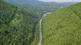 在俄罗斯索契的森林里, 沿着蜿蜒的山路行驶的汽车的空中股票照片。人行, 路之旅, 穿越美丽的乡村风光
