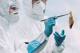 科学家在防护面具和西装中的选择性聚焦检查剪贴板中的鱼和书写在户外 