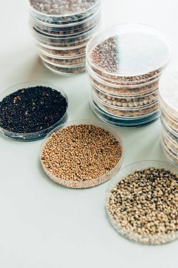 現(xiàn)代農(nóng)業(yè)實(shí)驗(yàn)室塑料容器中各種晶粒的選擇性聚焦