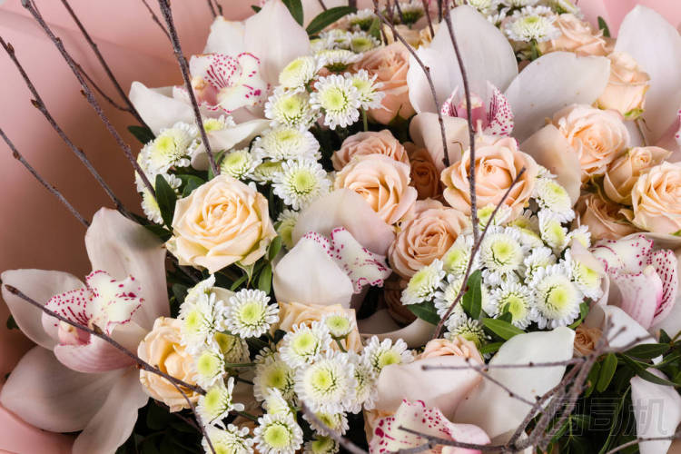 鲜花玫瑰花束图片