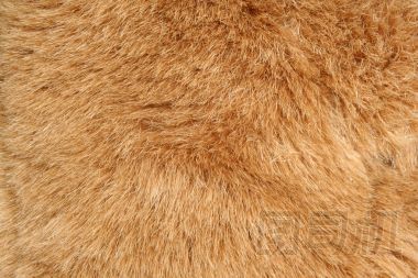 棕色皮毛背景紋理
