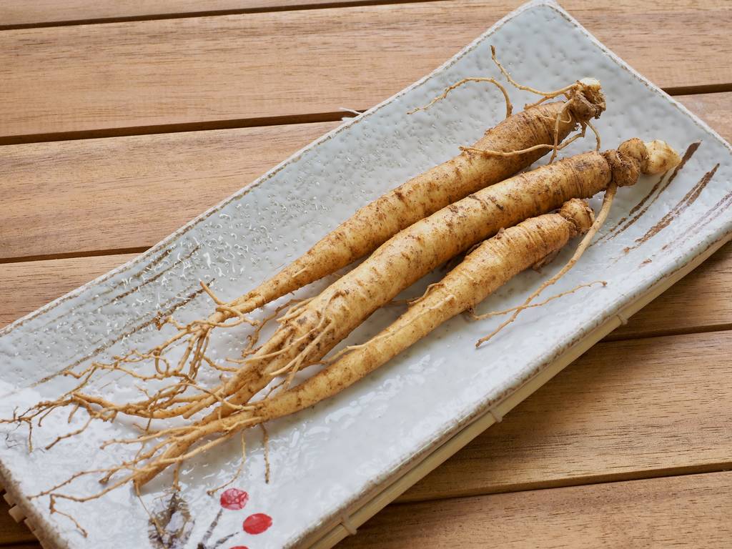 韩国食品鲜人参, 准许苏珊请假