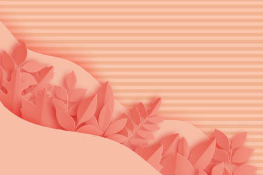 紙秋楓、橡木等樹葉和波浪粉彩色底色。時尚折紙剪紙風格矢量插畫