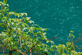 雨在九寨沟公园的叶子后面绕湖水圈