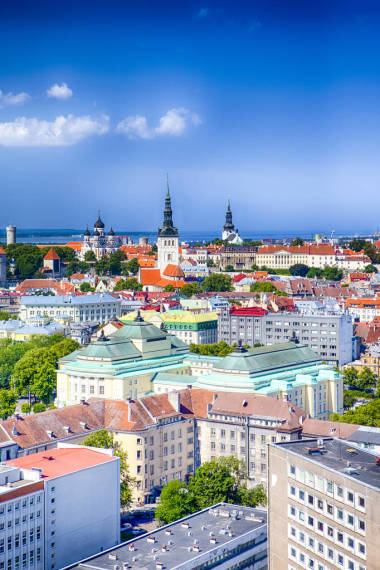 在爱沙尼亚的塔林城市景观风景如画的看法。采取从山顶在城市以看法在老市中心和口岸与海湾。全景图像组合