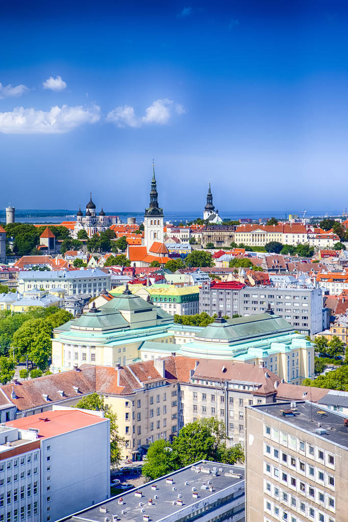 在愛(ài)沙尼亞的塔林城市景觀風(fēng)景如畫的看法。采取從山頂在城市以看法在老市中心和口岸與海灣。全景圖像組合