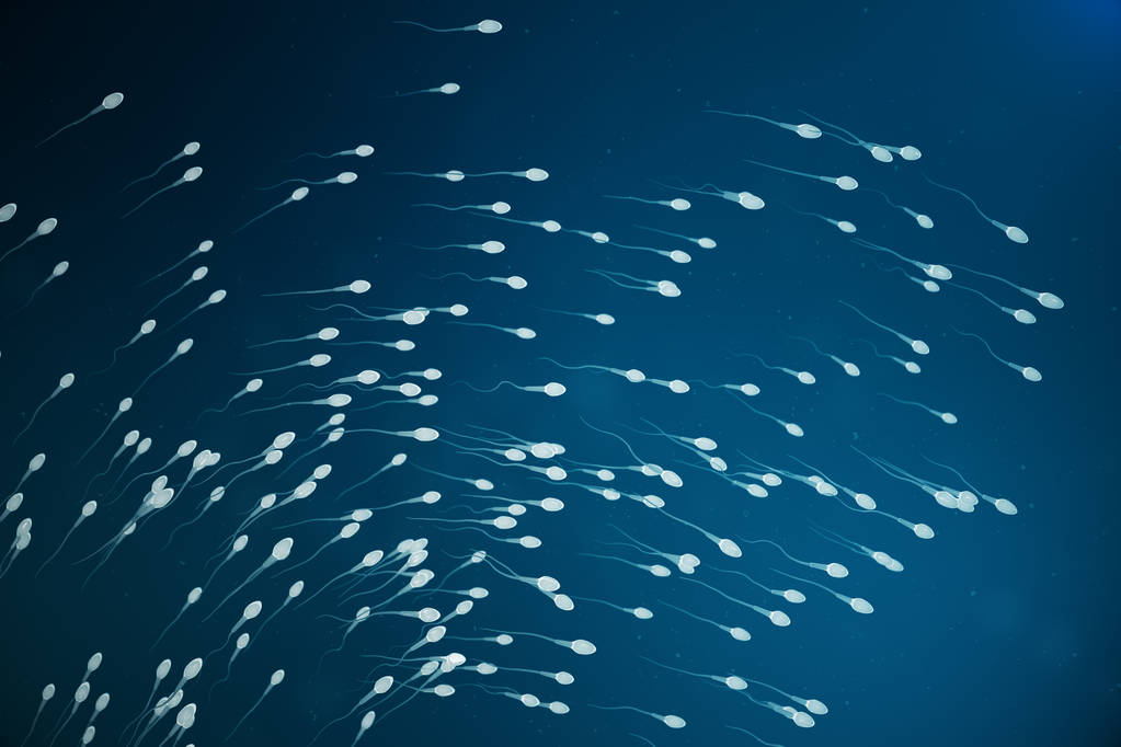 精子接近卵细胞卵子自然施肥-特写视图。概念, 新生活的开始。3d 插图 精子接近卵细胞卵子自然施肥-特写视图。概念, 新生活的开始。3d 插图