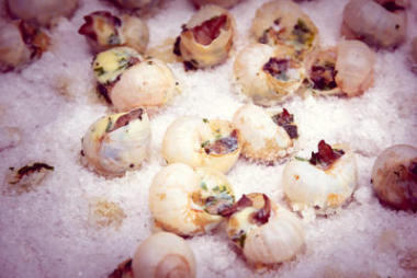 以鹽煎白蝸牛為背景圖片