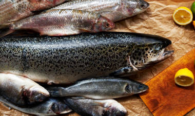 漁民帶來了一個(gè)昂貴的魚餐廳新鮮的魚和蝦, 廚師昂貴的餐廳立即開始腌海鮮, 進(jìn)一步準(zhǔn)備這些不同的熱菜