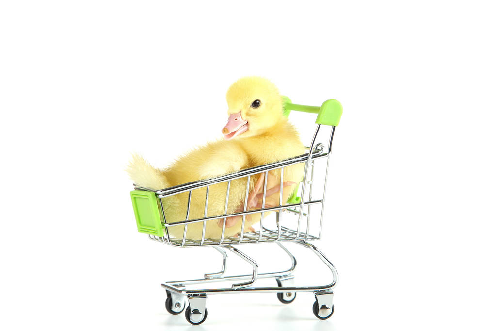 白色背景购物车小黄鸭 白色背景购物车小黄鸭