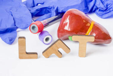 Lft 临床实验室医学首字母缩写或肝脏功能测试简称, 确定肝脏健康。词 Lft 是接近的图肝脏, 实验室试管用血液样品, 听诊器