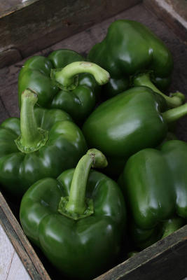 準(zhǔn)備健康的新鮮辣椒圖片