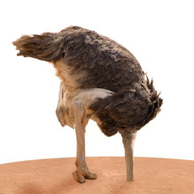 鴕鳥(niǎo)頭地下