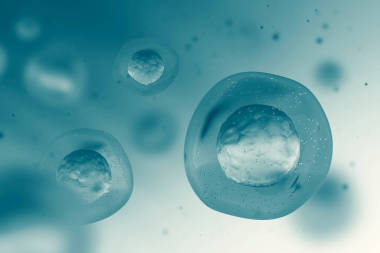 帶有原子核的灰色細胞的宏。抽象的模糊單元格背景。醫(yī)學、科學、研究和 Dna 研究的概念。3d 渲染模擬