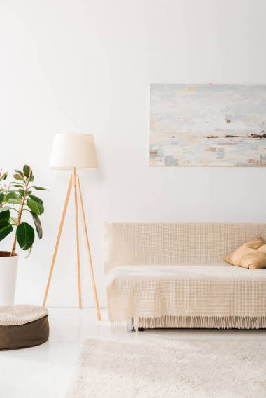 現(xiàn)代客廳室內(nèi)帶燈, 植物, 圖片和沙發(fā)